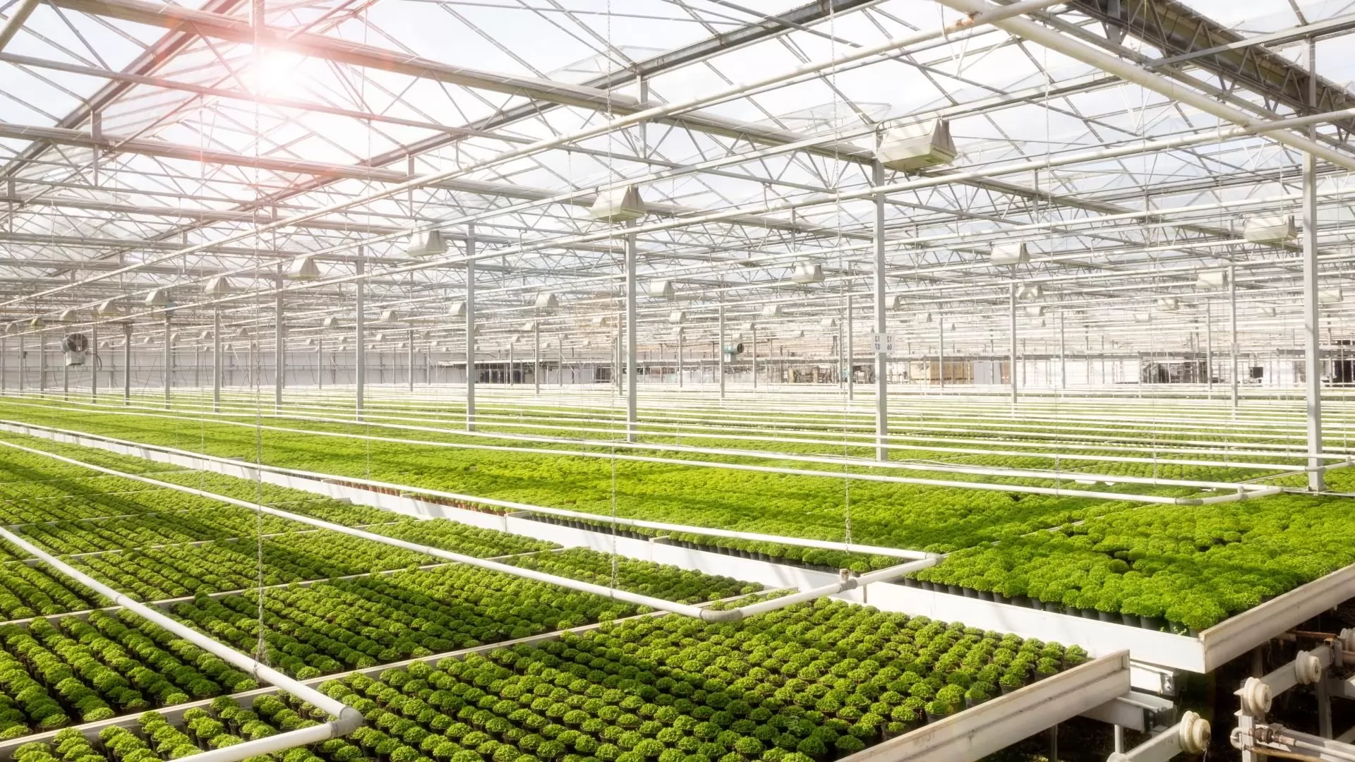 Greenhouse and Intensive Farming Systems