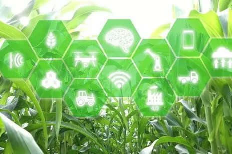 The New Power of Modern Agriculture: Inorex Nano Fertilizer